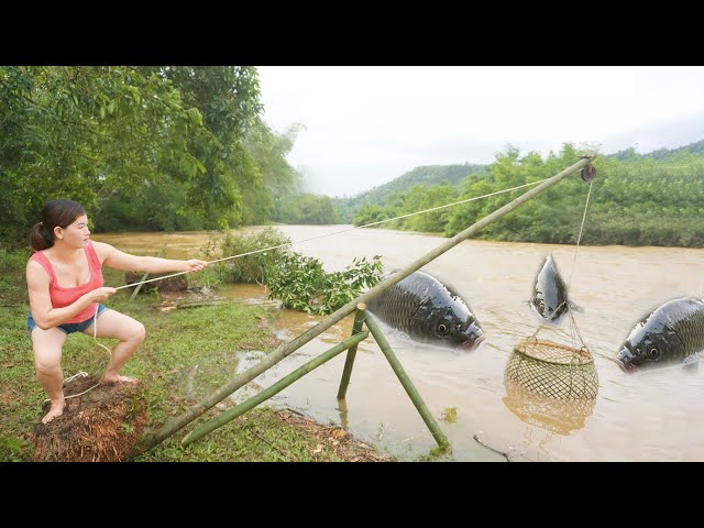 Unique Fishing: Smart girl Creating primitive traps with good results - Catch a lot of fish