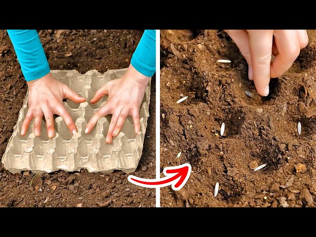 Простые хаки для выращивания растений и садовые инструменты DIY