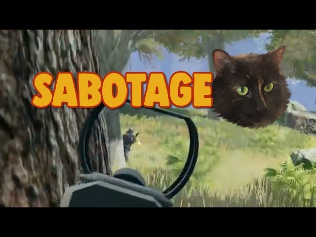 CAT SABOTAGE - chocoTaco PUBT Game Recap