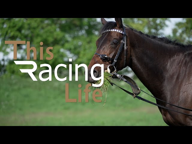 This Racing Life - Lir Speciale, George Boughey & Alice Haynes