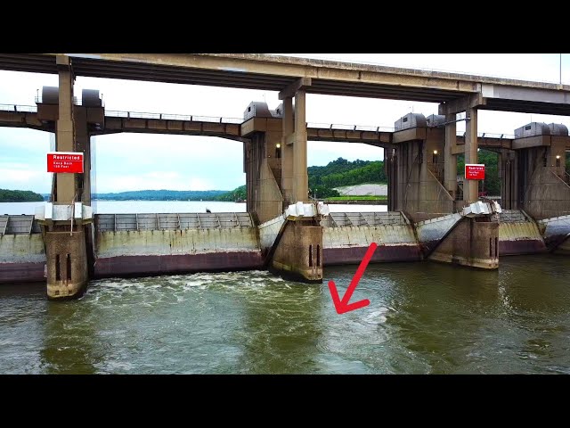 This Ohio River lock was loaded with fish (June Catfishing)