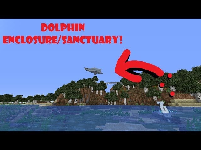 🦖How to make a Dolphin Enclosure/ Sanctuary in Minecraft! 🐬