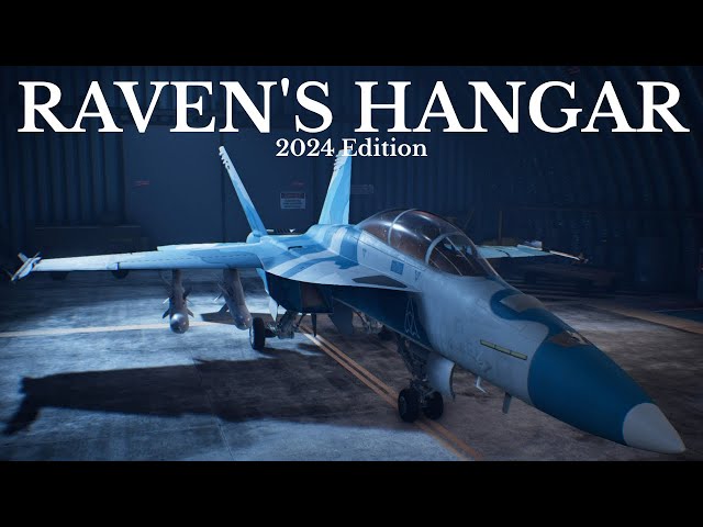 This is what I keep in my hangar for ace combat 7 in 2024