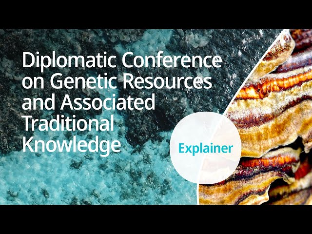 Explained: WIPO Diplomatic Conference on Genetic Resources and Associated Traditional Knowledge