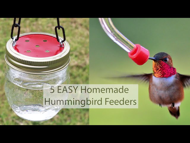 5 EASY DIY Homemade Hummingbird Feeders