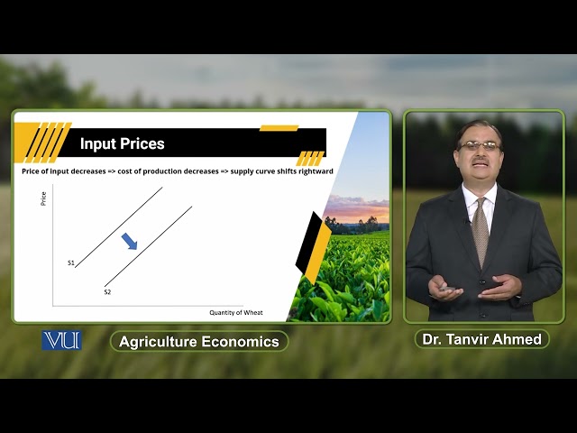Input Prices | Agricultural Economics | ECO608_Topic045