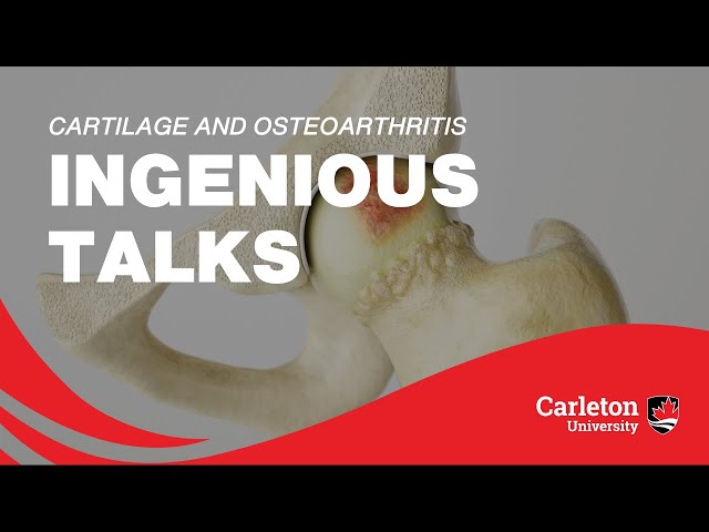 Cartilage and Osteoarthritis: Biomechanics and Medical Image Analysis - Ingenious Talks