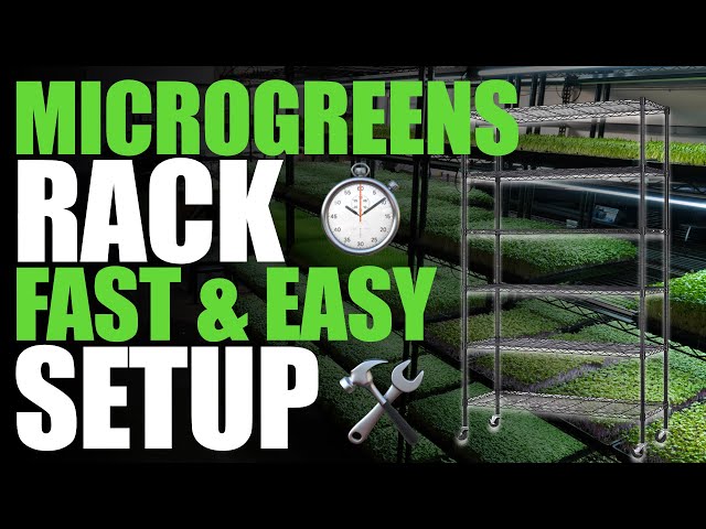 How To Build A Microgreen Rack FAST and EASY