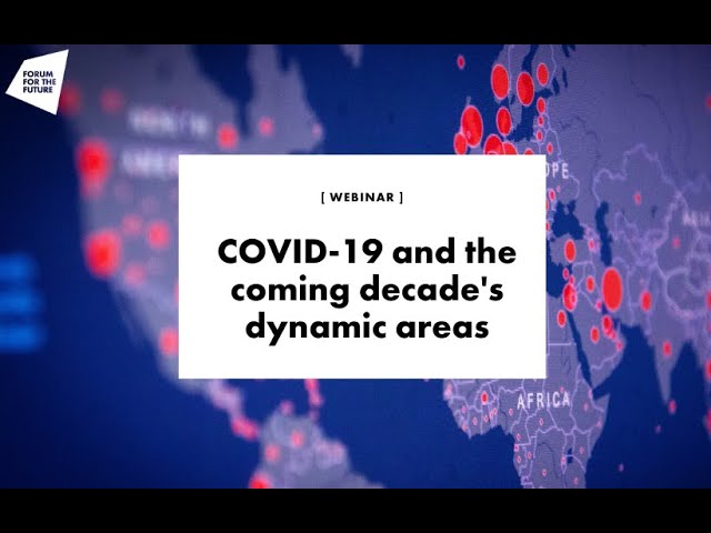 Webinar: COVID-19 and the coming decade's dynamic areas (12 May 2020)
