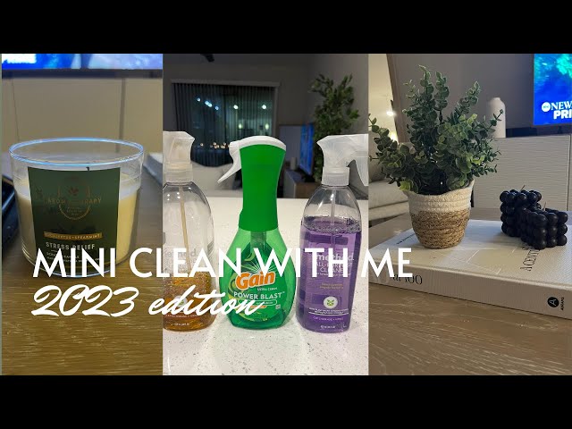 *NEW* MINI CLEAN WITH ME I KITCHEN CLEANING I TAKING DOWN THE TREE