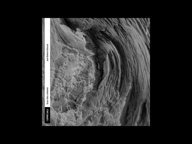 Suso Sáiz + Menhir - Just Before Silence (2022)