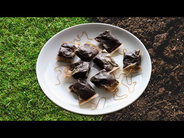 Don’t Throw Away Used Tea Bags – Use Them in Your Garden