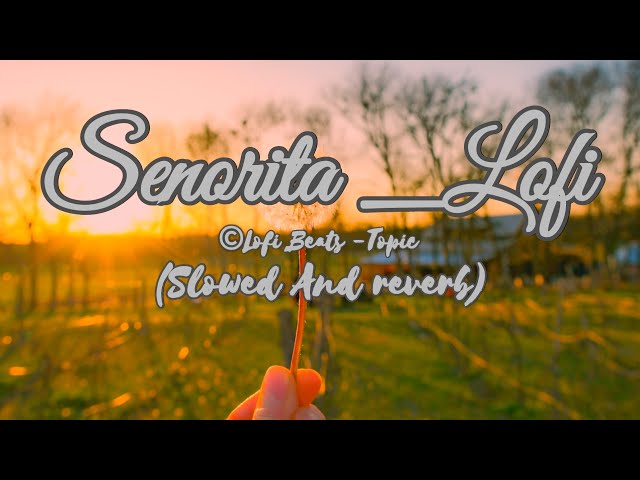 Senorita _Lofi(Slowed And reverb) Song @Banny_355