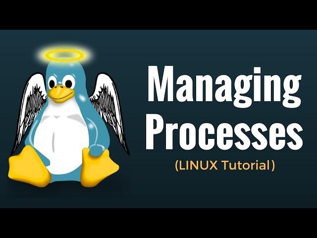 Process Management Commands (fg, bg, top, ps, kill, nice, renice, df, free) Linux Tutorial