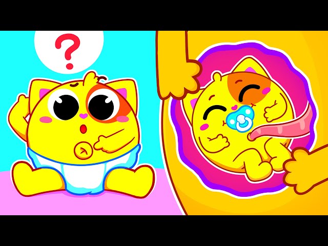 Why Do We Have Belly Buttons for Kids | Funny Songs For Baby & Nursery Rhymes by Toddler Zoo