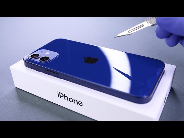 iPhone 12 Unboxing and Camera Test! - ASMR