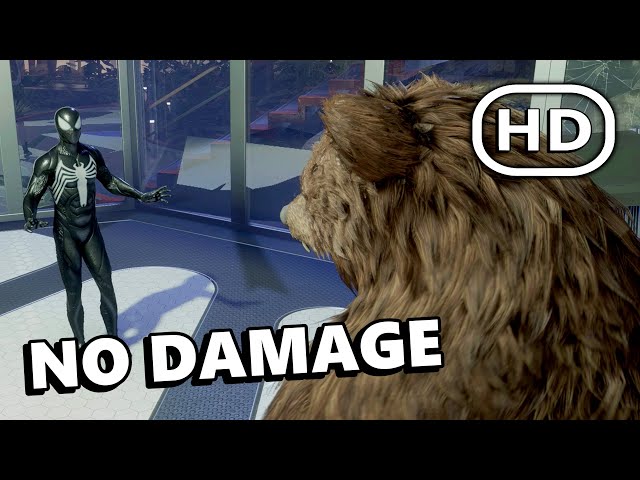 Grizzly Fight & Funny Bear Joke - MARVEL'S SPIDER-MAN 2 PS5 (4K Ultra HD) 2023