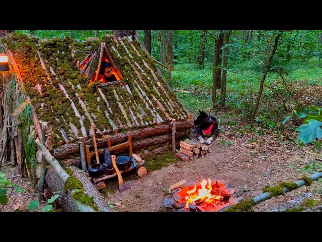 3 Days SOLO SURVIVAL CAMPING In RAIN Forest. Building a WOOD  Bushcraft SHELTER. Cook MEAT on MUD