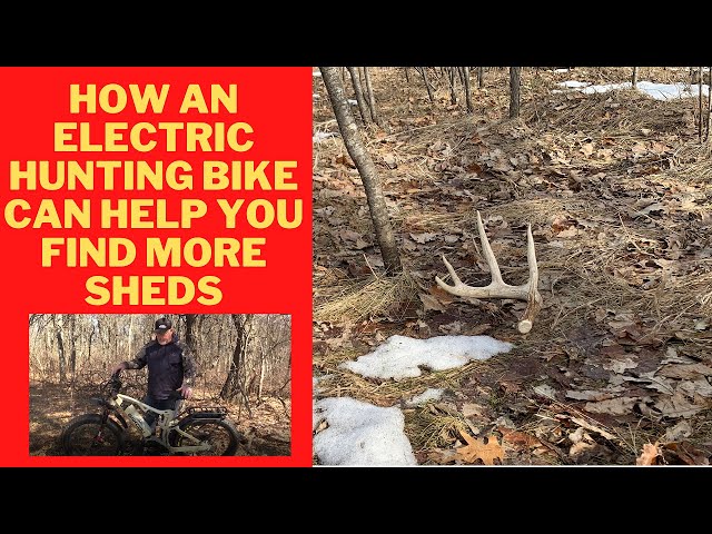 Find more shed deer antlers with an Electric Hunting Bike