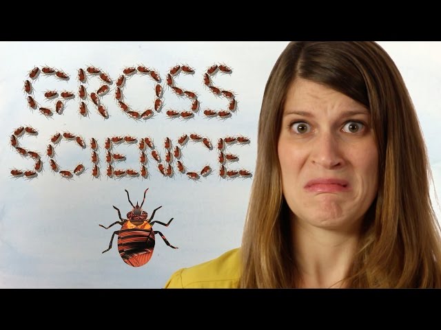 What is Gross Science?