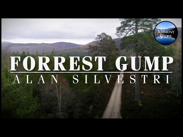 Forrest Gump | Calm Continuous Mix