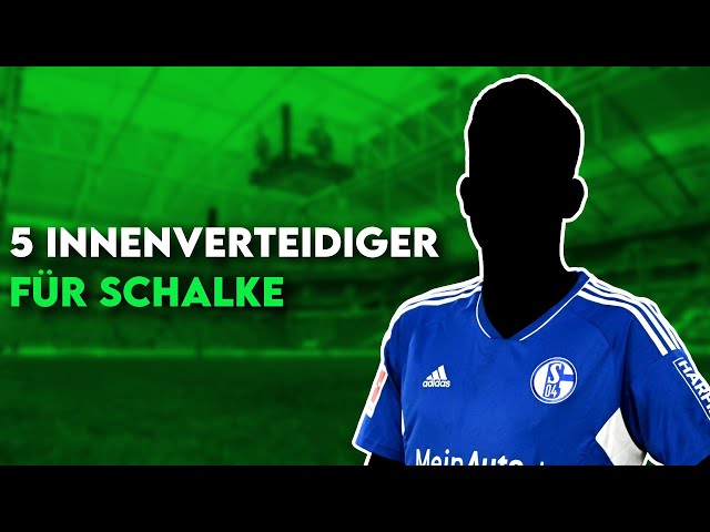 FC Schalke 04: 5 Innenverteidiger um die Abwehr zu verstärken und für den Aufstiegskampf!