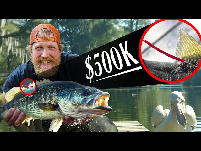 Most Valuable Fish I Ever Caught  | Alabama Catch & Cook Adventure Day 2
