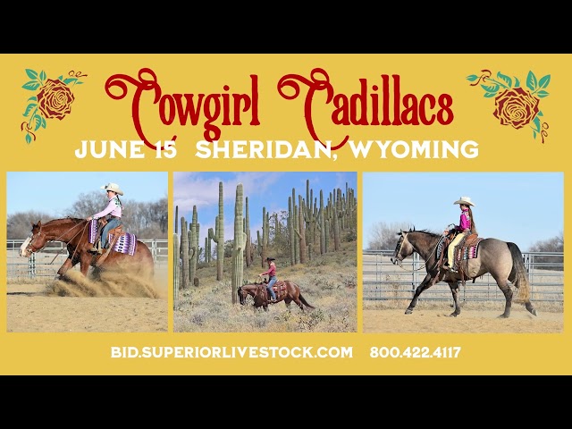 Cowgirl Cadillacs Horse Sale June 15, 2024