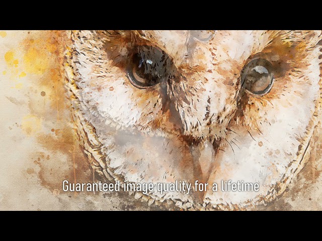 Premium Handmade Art Print "Barn Owl Portrait in Watercolors" by Dreamframer Art
