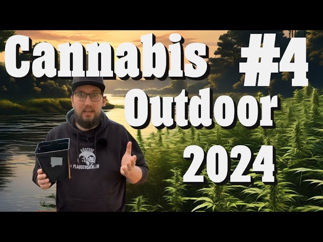Cannabis Outdoor growen 2024: Schön was wechtopfen! | EP 4