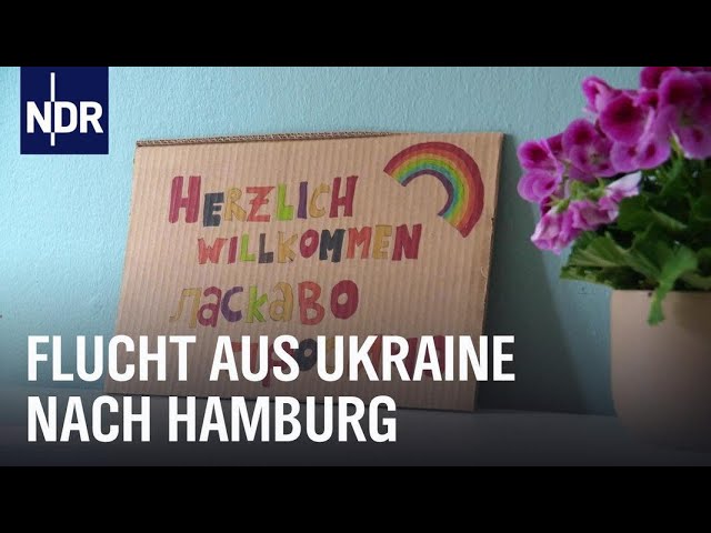 Ukraine: Willkommen in Hamburg | Die Nordreportage | NDR Doku
