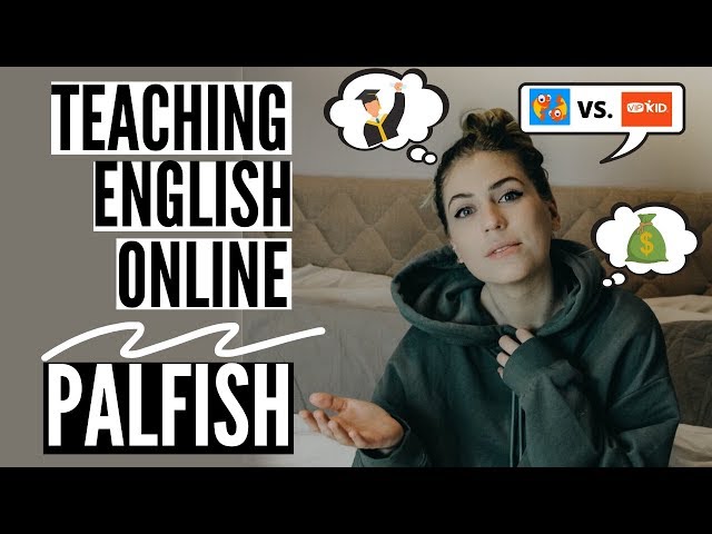 PALFISH REVIEW | WHAT IS PALFISH? (& TEACHING ENGLISH ONLINE WITHOUT A DEGREE)