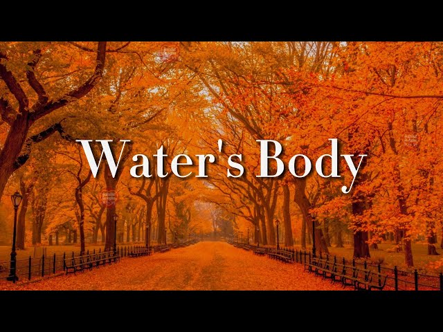 Water's Body