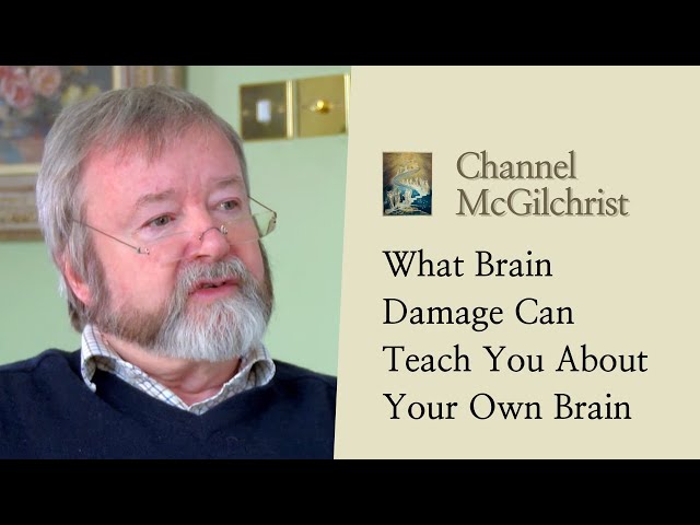 What Brain Damage Can Teach You About Your Own Brain