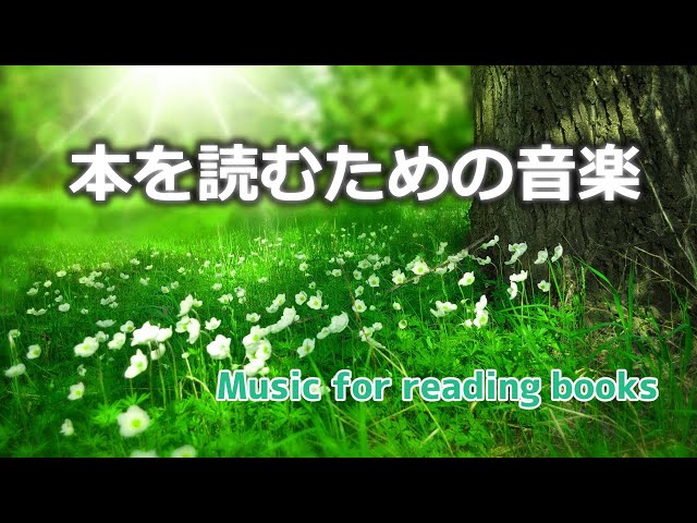 【読書の時に聞く音楽】作業用BGM│本を読むのに最適│森林浴の癒し