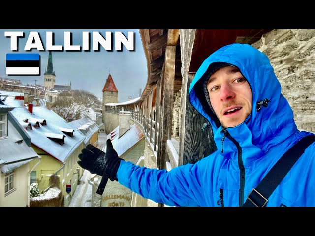 This is why you NEED to visit Tallinn | Europe's Snowiest City (VLOG)