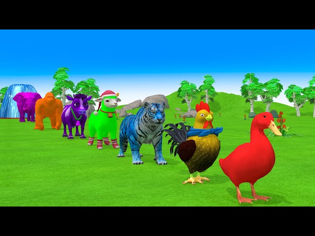 Paint & Animals Duck,Chicken,Tiger,Elephant,Cow,Sheep Fountain Crossing Transformation Animals