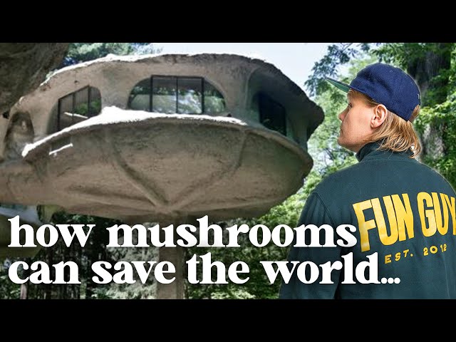 weird things people don't know about mushrooms