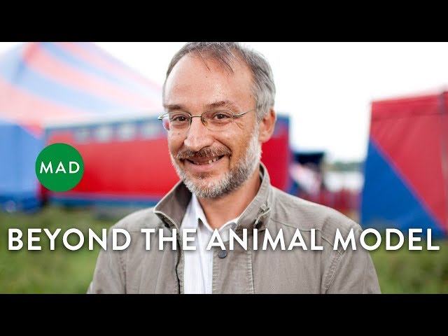 Beyond the Animal Model | Stefano Mancuso