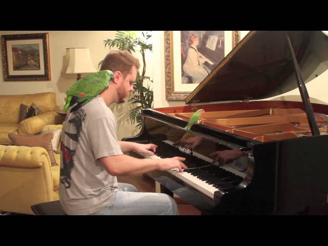 Angry Birds on Piano