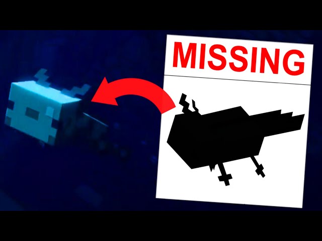 Minecraft's Missing Axolotl