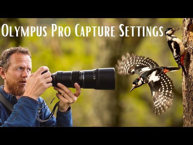 How to Setup Pro Capture Settings on Olympus OM-D