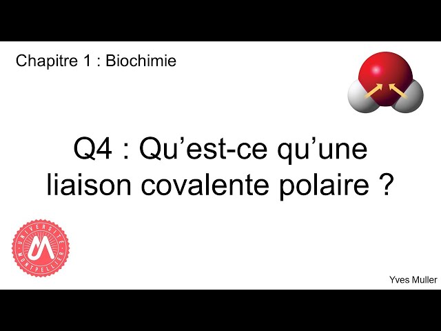Chapitre 1 : Biochimie - Q4 : Qu'est-ce qu'une liaison covalente polaire ?