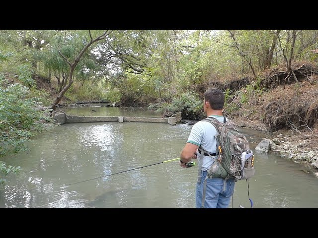 San Antonio Old Creek Mill Dam. What Can I Catch? How to Fish a Muddy Creek.