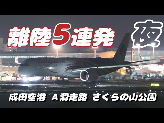 【4K】成田空港 さくらの山公園 夜の空港から離陸する飛行機５連発