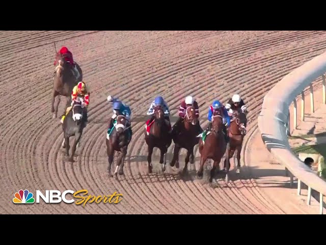 The Swale Stakes 2024 (FULL RACE) | NBC Sports