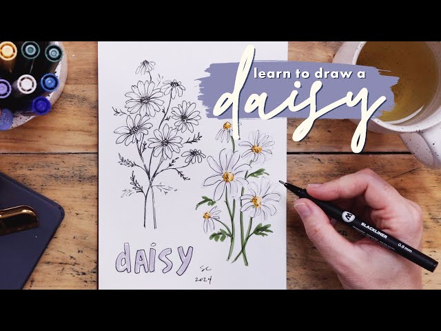 How to Draw Daisies w/ FREE Worksheet!