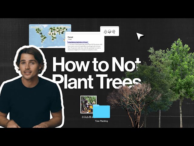 The truth behind planting trees and carbon offsets | Spotlight EP 12, Earthrise x Bloomberg