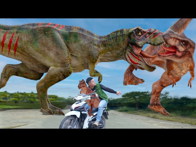 Best DINOSAUR FIGHT In Jurassic World Dominion | Most REALISTIC T-Rex Chase| Dinosaur Video |MsSandy