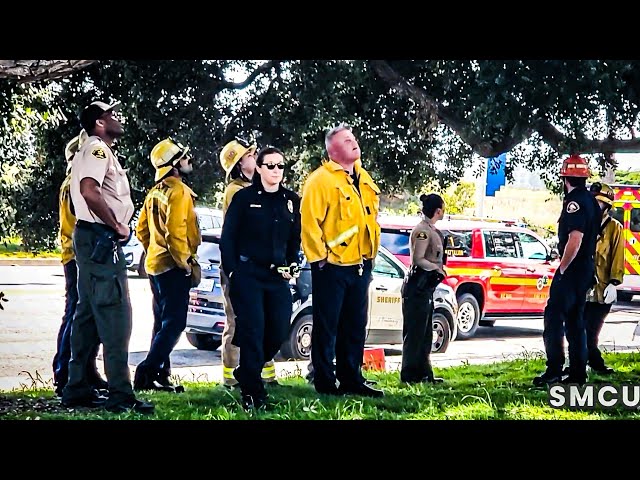Sheriff Deputies and Firefighters Respond to Man Climbing Tree in Marina Del Rey
